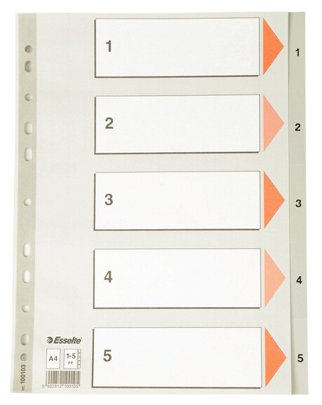 Register Esselte A4 1-5 grau, Art.-Nr. 100103 - Paterno B2B-Shop