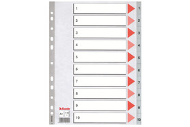 Register Esselte A4 1-10 grau, Art.-Nr. 100105 - Paterno B2B-Shop