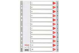Register Esselte A4 1-12 grau, Art.-Nr. 100106 - Paterno B2B-Shop