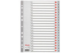 Register Esselte A4 1-20 grau, Art.-Nr. 100107 - Paterno B2B-Shop
