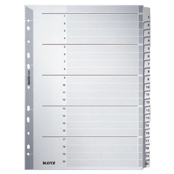 Register Leitz A4 1-20 grau, Art.-Nr. 4326-00-00 - Paterno B2B-Shop