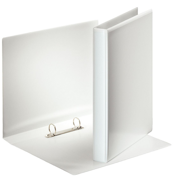 Ringbuch Esselte Panorama A4/2 25mm, Art.-Nr. 49708 - Paterno B2B-Shop