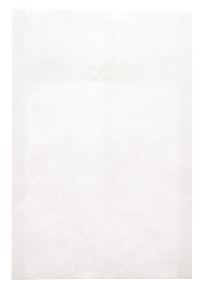 Taschen Tyvek Seitenfalz 254x353+38mm, Art.-Nr. B4T-TY-SF - Paterno B2B-Shop Taschen Tyvek Seitenfalz 254x353+38mm, Art.-Nr. B4T-TY-SF - Paterno B2B-Shop