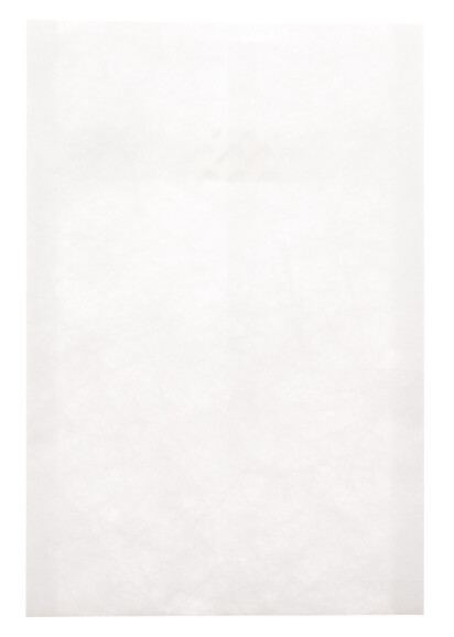 Taschen Tyvek Seitenfalz 229x324+38mm, Art.-Nr. C4T-TY-SF - Paterno B2B-Shop Taschen Tyvek Seitenfalz 229x324+38mm, Art.-Nr. C4T-TY-SF - Paterno B2B-Shop