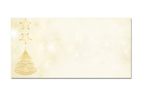 Kuverts Sigel GRACEFUL CHRISTMAS, Art.-Nr. DU083 - Paterno B2B-Shop