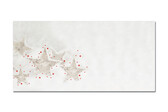 Kuvert Sigel CHRISTMAS TIMBER, Art.-Nr. DU250 - Paterno B2B-Shop