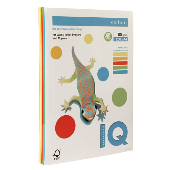 Kopierpapier IQ Color A4 80 gr. intensivfarben sort., Art.-Nr. IQC480-I-RB - Paterno B2B-Shop Kopierpapier IQ Color A4 80 gr. intensivfarben sort., Art.-Nr. IQC480-I-RB - Paterno B2B-Shop