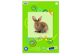 Tonpapierblock Dürer Edition A3, Art.-Nr. 053628000 - Paterno B2B-Shop