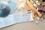 Kurzbrief selbstdurchschreibend 2x40 BLatt, Art.-Nr. 1741ZWF - Paterno B2B-Shop