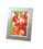Fotopapier ZWF PREMIUM A4, 250g, 40 Bl, Art.-Nr. 2739ZWF - Paterno B2B-Shop