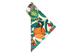 Geodreieck Aristo Geocover 16 cm tropic, Art.-Nr. AR18001B - Paterno B2B-Shop