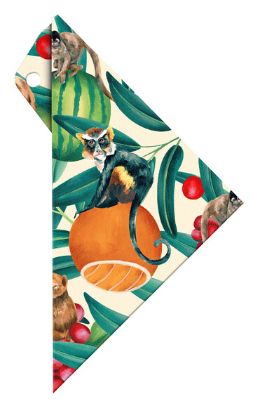Geodreieck Aristo Geocover 16 cm tropic, Art.-Nr. AR18001B - Paterno B2B-Shop