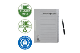 Register Leitz A4 20 teilig grau, Art.-Nr. 6096 - Paterno B2B-Shop