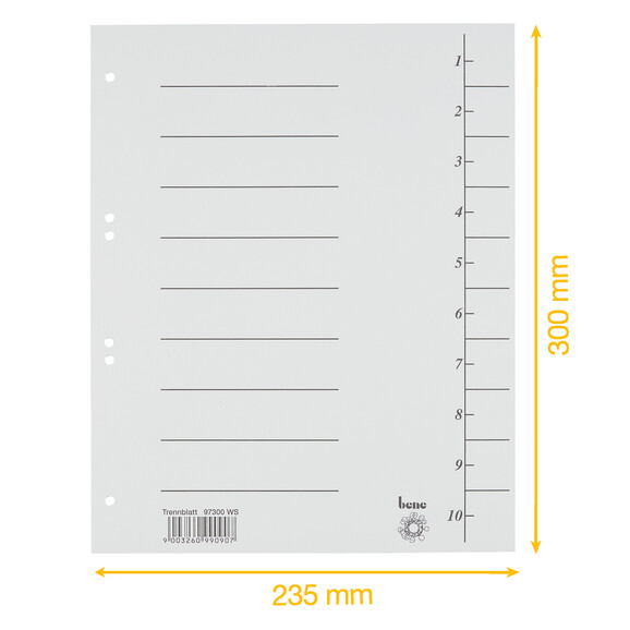 Trennblätter A4 sortiert, Art.-Nr. 097300-SORT - Paterno B2B-Shop