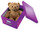 Aufbewahrungsbox Leitz Click&amp;Store A4 schwarz, Art.-Nr. 6044-00-SW - Paterno B2B-Shop