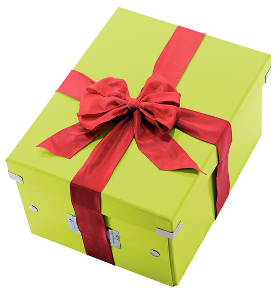 Aufbewahrungsbox Leitz Click&amp;Store A4 schwarz, Art.-Nr. 6044-00-SW - Paterno B2B-Shop