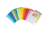 Sichtmappe Elco Ordo A4 Mappe, Art.-Nr. 29488 - Paterno B2B-Shop