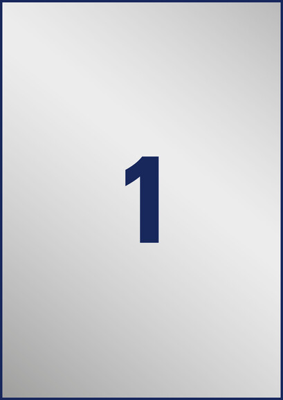 Etiketten ZWF Typenschild 210x297 mm silber, Art.-Nr. L6013-20 - Paterno B2B-Shop