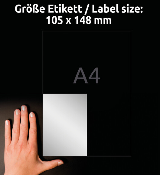 Etikett Typenschild 105x148mm, Art.-Nr. L6134-20 - Paterno B2B-Shop