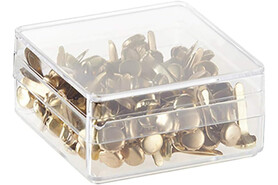 Rundkopfklammern ALCO 25 mm, Art.-Nr. SAX5-RUND - Paterno B2B-Shop