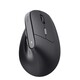 Maus Trust BAYO II Ergonomic Wireless, Art.-Nr. 22126 - Paterno B2B-Shop Maus Trust BAYO II Ergonomic Wireless, Art.-Nr. 22126 - Paterno B2B-Shop