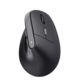 Maus Trust BAYO II Ergonomic Wireless, Art.-Nr. 22126 - Paterno B2B-Shop Maus Trust BAYO II Ergonomic Wireless, Art.-Nr. 22126 - Paterno B2B-Shop